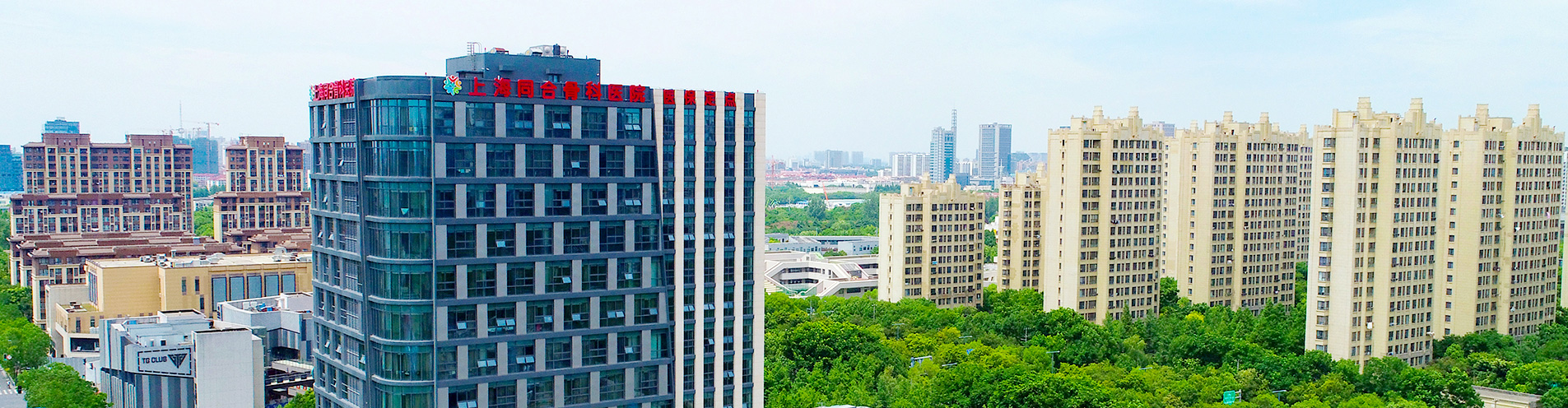 专家团队
